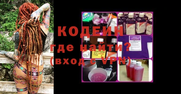 прущие грибы Тихвин