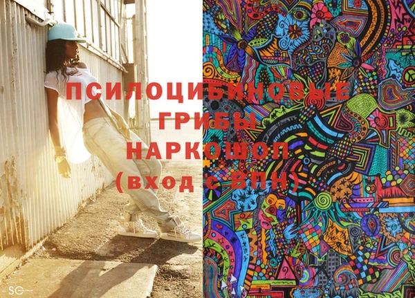 прущая мука Няндома