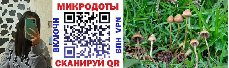 Псилоцибиновые грибы GOLDEN TEACHER Лангепас