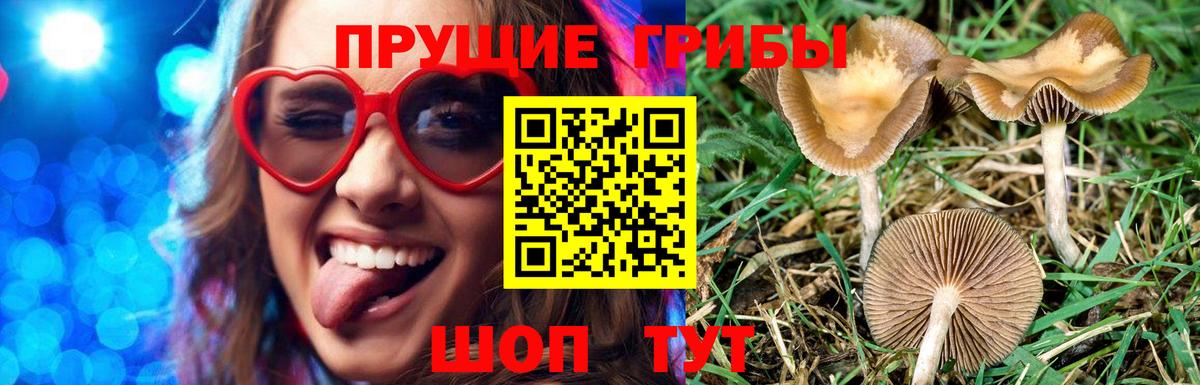 Галлюциногенные грибы GOLDEN TEACHER Лангепас
